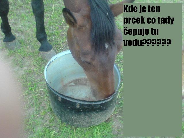 lindu (11).JPG